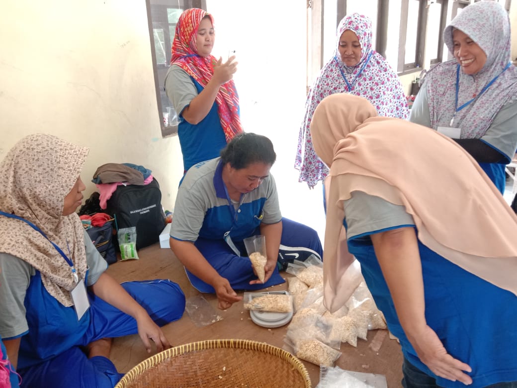 Proses Pembuatan Tempe